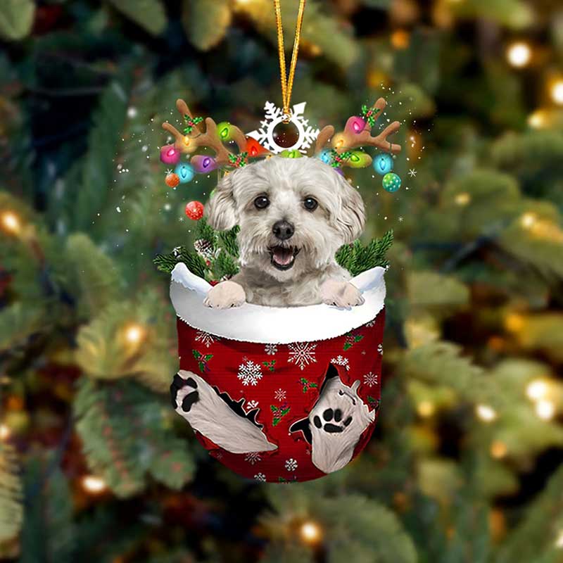 Havanese White In Snow Pocket Christmas Ornament