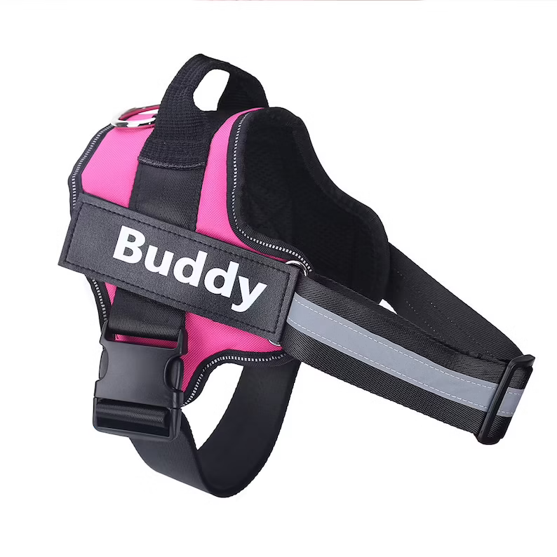 Personalized Dog Harness-More safety and comfort