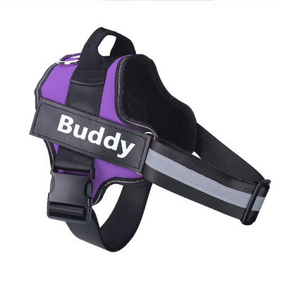 Personalized Dog Harness-More safety and comfort