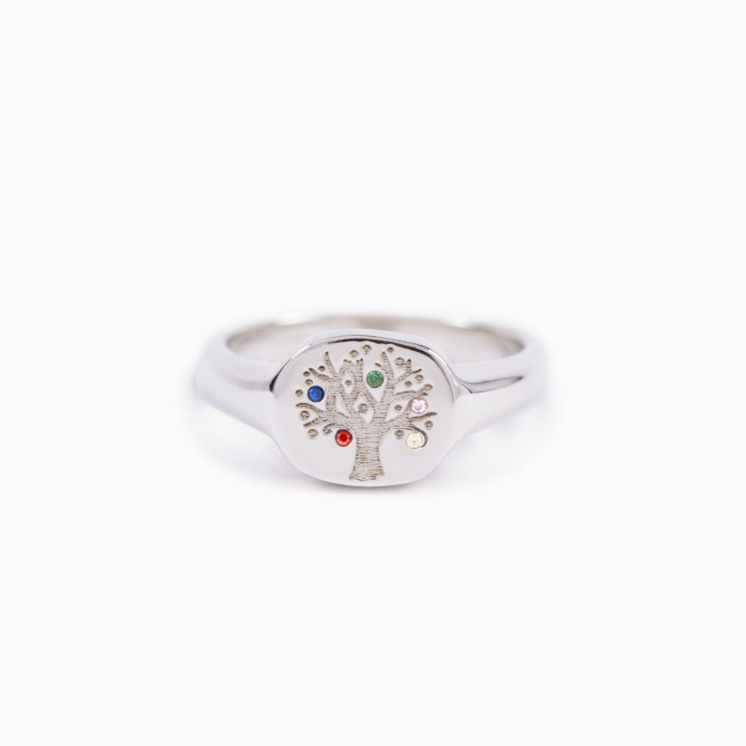 PERSONALIZED 1-6 BIRTHSTONES RING-OUR FAMILY ROOTS REMAIN AS ONE